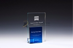 Blue Square Award